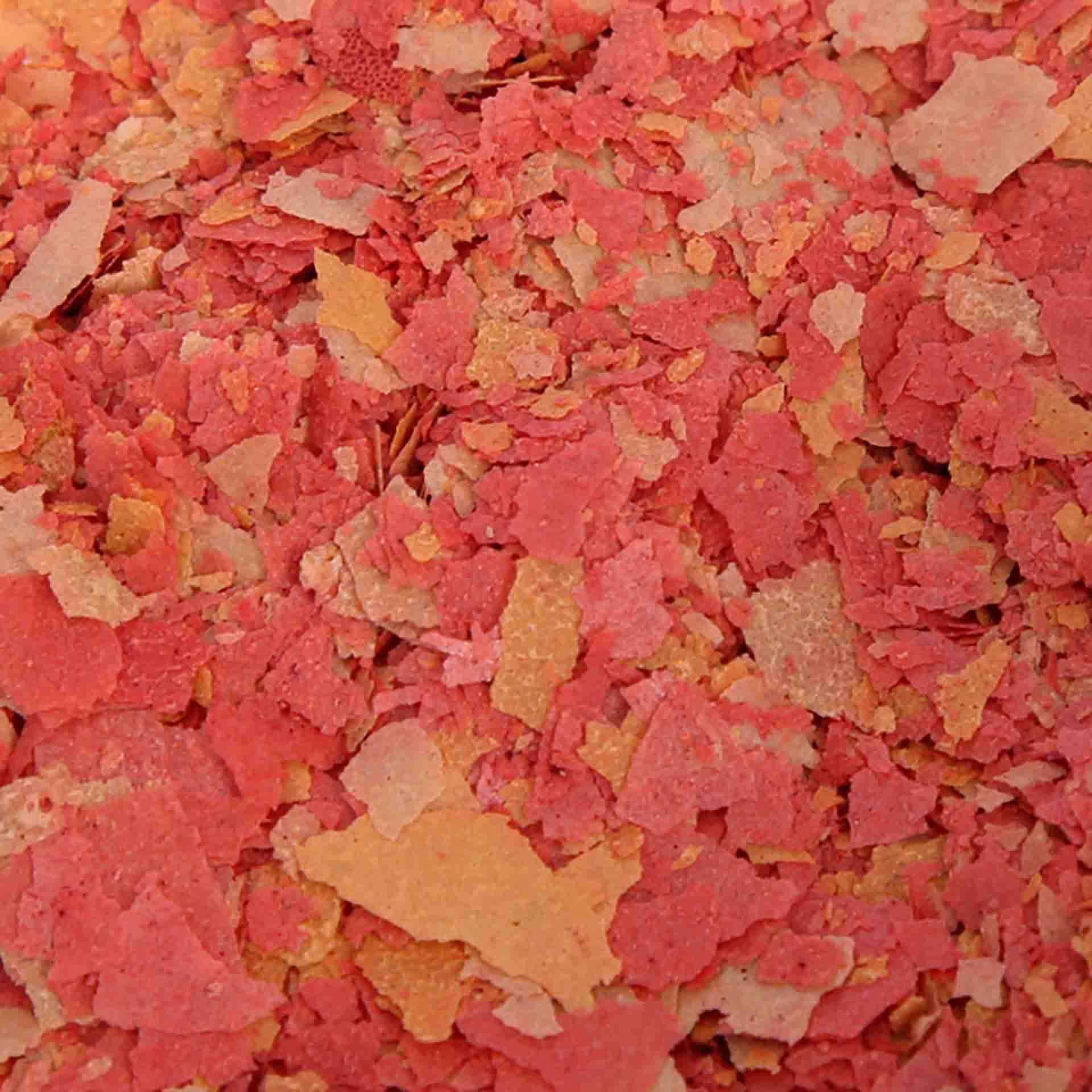 Aqua_One_Premium_Goldfish_Flake_Food_50g_2_2048x-2.jpg