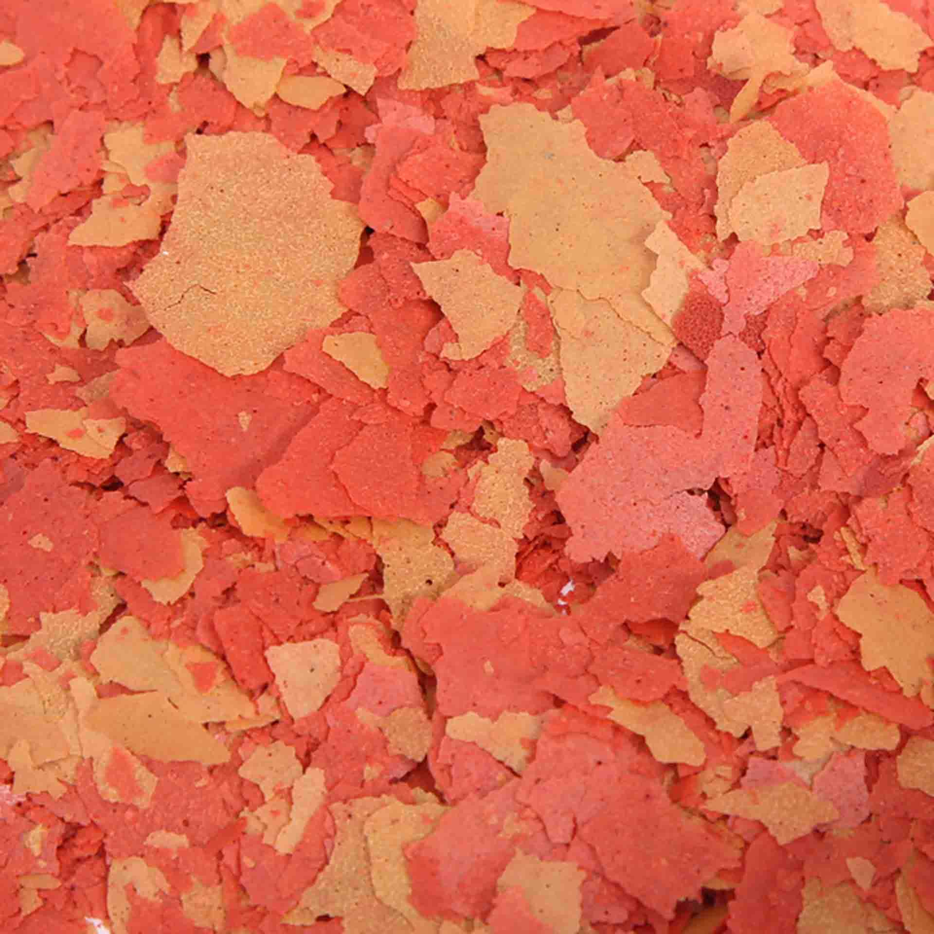 Aqua_One_Premium_Insect_Protein_Colour_Boost_Flakes_Floating_100g_2_2048x.jpg