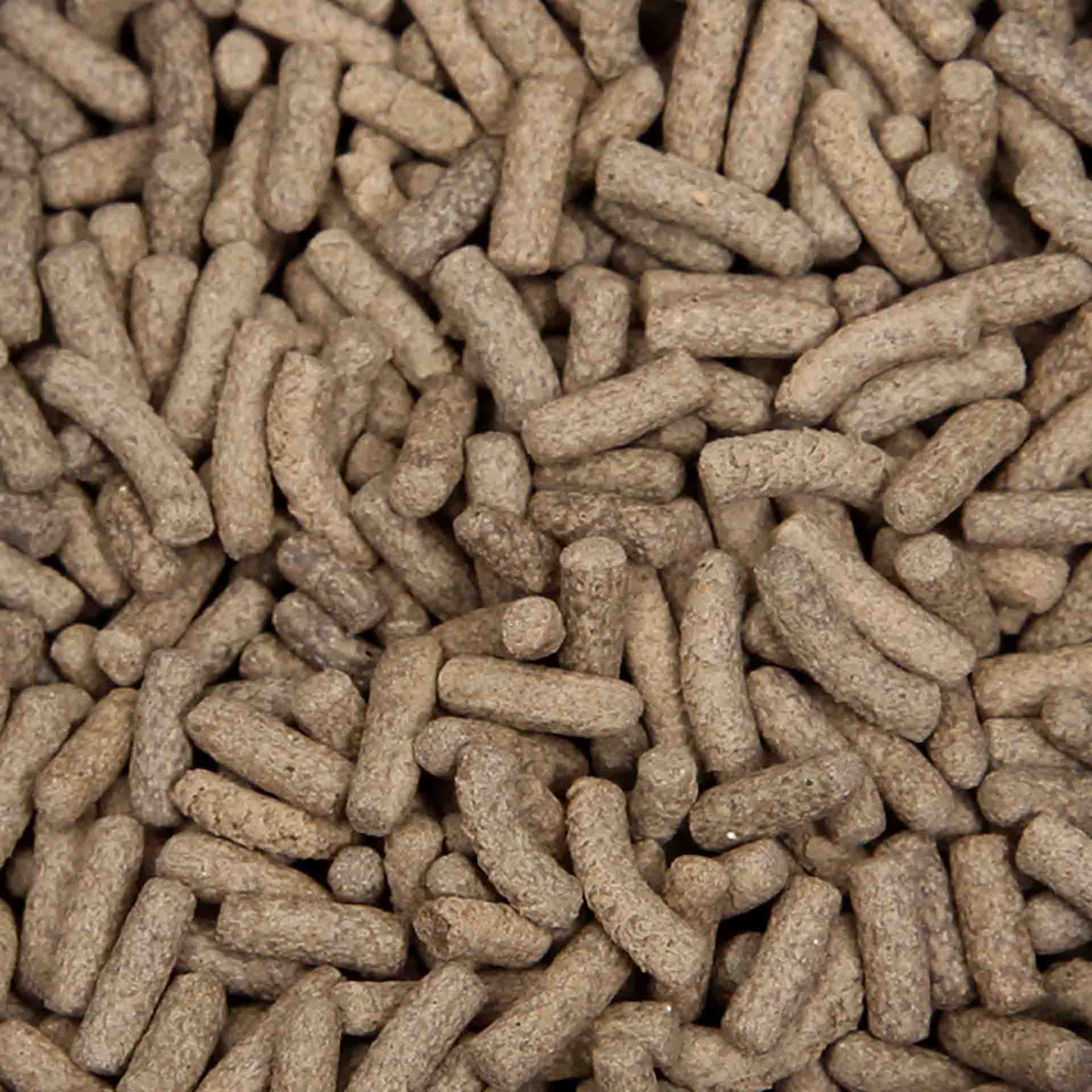 Aqua_One_Premium_Insect_Protein_Turtle_Feast_Floating_390g_2_2048x-2.jpg