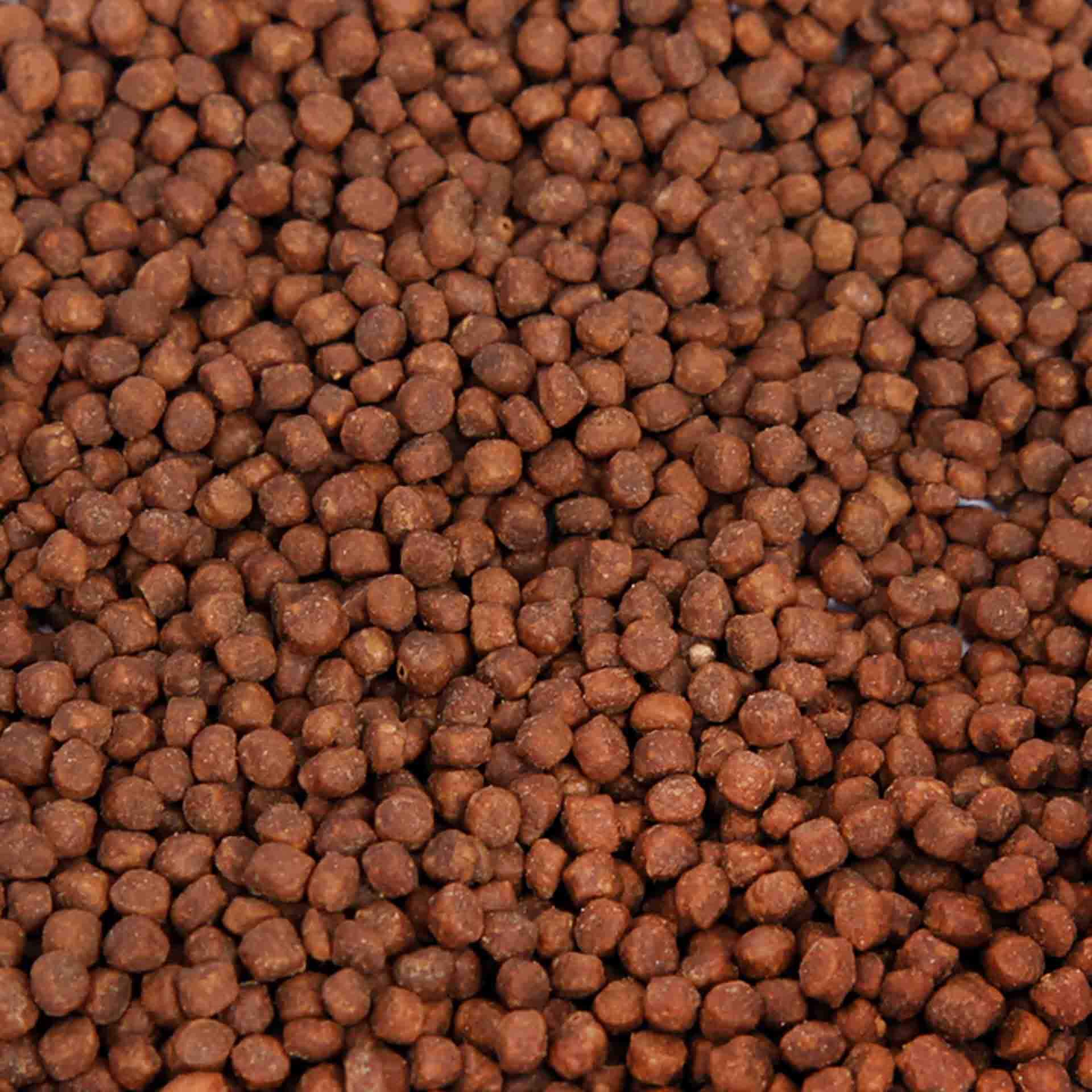 bottomfeeder_1_2048x.jpg